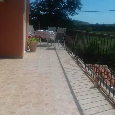 Tomas *